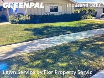 Grass Cut nearby San Jose, CA, 