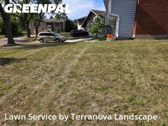 Turf Services in Schaumburg, 60193, Lawn Work by Terranova Landscape, work completed in Nov , 2025