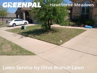 Lawn Cut nearby Fort Worth, TX, 