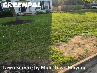Lawn Mow nearby Spring Hill, TN, 