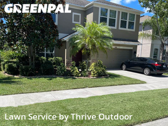 Grass Cut nearby Land O' Lakes, FL, 