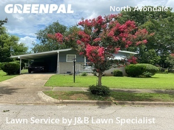 Backyard Landscaping In Birmingham,35222,Landscape Design by J&B Lawn Specialist, work completed in Jun , 2026