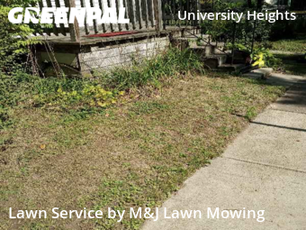 Yard Cutting nearby Buffalo, NY, 