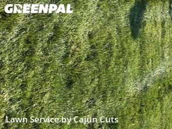 Lawn Care nearby Murfreesboro, TN, 