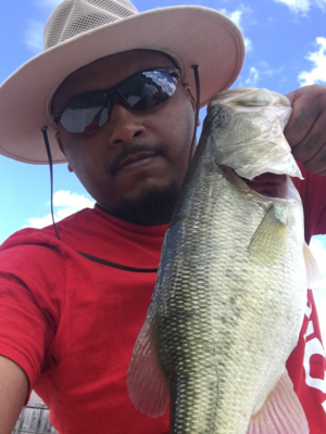 Local Lawn care service near me in Houston, TX, 77095
