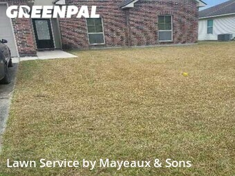 Grass Cut nearby Denham Springs, LA, 