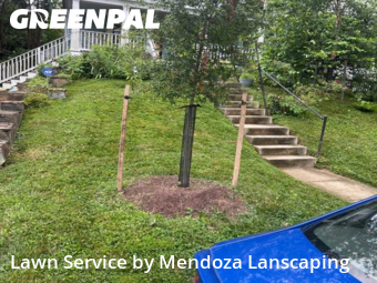 Lawn Mowing Service nearby Silver Spring, MD, 