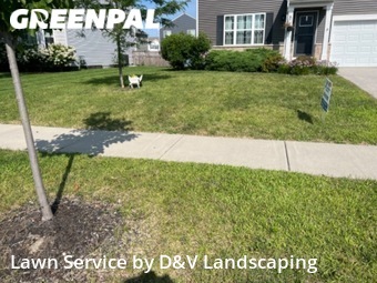 Lawn Mow nearby Joliet, IL, 