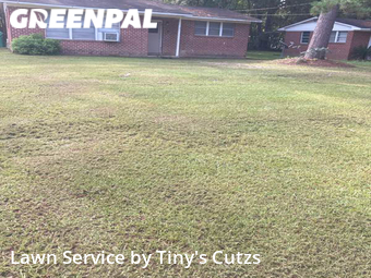 Grass Cut nearby Valdosta, GA, 