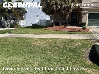 Grass Cut nearby Tampa, FL, 