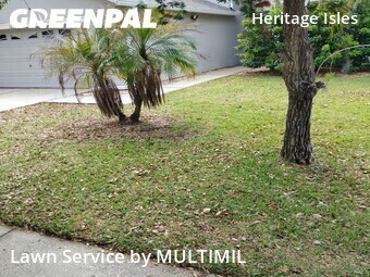 Lawn Mowing nearby Tampa, FL, 