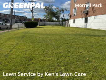 Grass Cutting nearby Philadelphia, PA, 