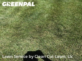 Lawn Cut nearby Blue Springs, MO, 