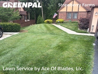 Lawn Care nearby Columbus, OH, 