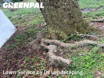Lawn Service nearby Brooksville, FL, 