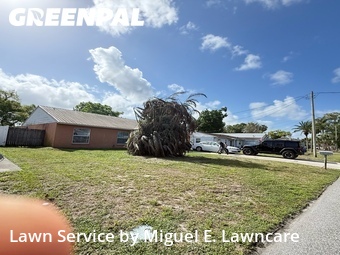Grass Cut nearby Orlando, FL, 
