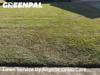 Lawn Cutting nearby Youngsville, LA, 