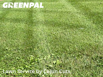 Lawn Cut nearby Walterhill, TN, 