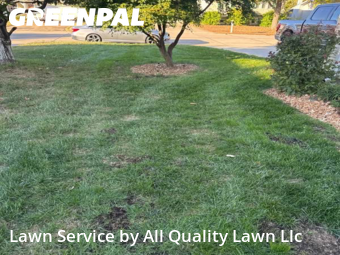 Yard Mowing nearby Saint Charles, MO, 