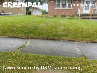 Yard Cuttingin Joliet,60435,Lawn Cutting by D&V Landscaping , work completed in Nov , 2025