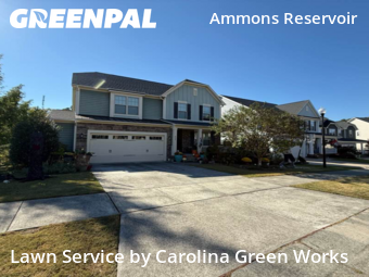 Yard Upkeep in Wake Forest, 27587, Yard Cutting by Carolina Green Works, work completed in Nov , 2025