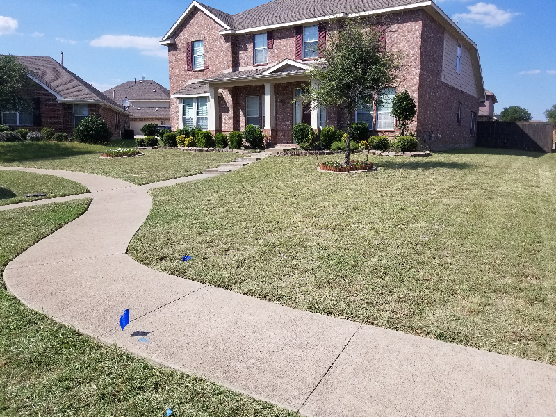 Yard mowing company in Mansfield, TX, 76063