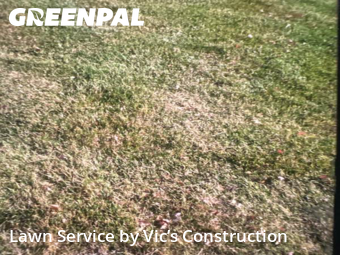 Yard Cutting nearby Joliet, IL, 