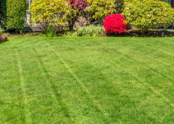 Order Lawn Care in North Olmsted, OH, 44125