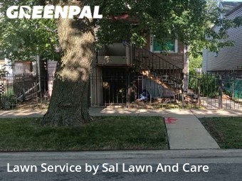 Lawn Cut nearby Chicago, IN, 