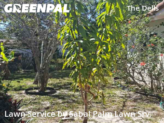 Lawn Cutting nearby Coral Springs, FL, 