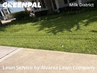 Lawn Service nearby Orlando, FL, 