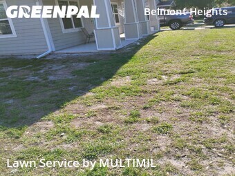 Lawn Mow nearby Tampa, FL, 