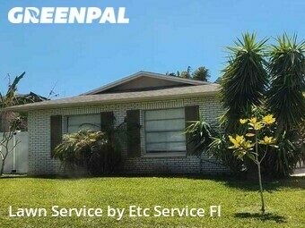 Lawn Mow nearby Dunedin, FL, 