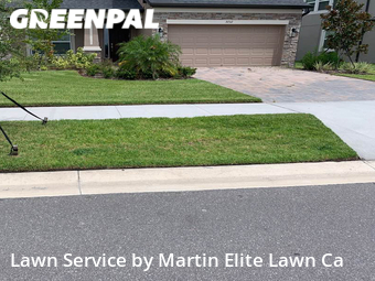 Grass Cut nearby Wesley Chapel, FL, 