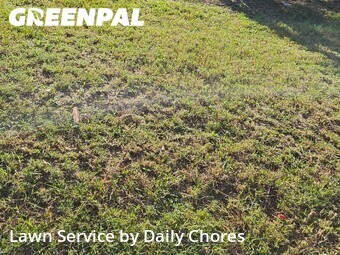 Lawn mowed in Wichita Falls, 76308