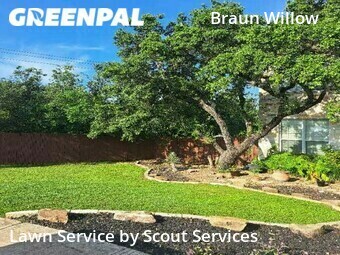 Lawn Mowing Service nearby San Antonio, TX, 