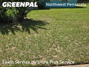 Grass Cut nearby Pensacola, FL, 