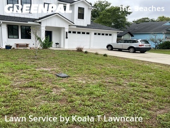Lawn Cuttingin Jacksonville Beach,32250,Yard Cutting by Koala T Lawncare, work completed in Jun , 2026