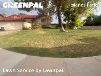 Grass Cut nearby Gilbert, AZ, 