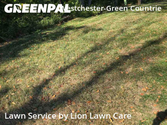 Lawn Cut nearby Galloway, OH, 