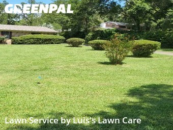 Grass Cutting nearby Pensacola, FL, 