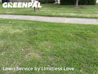 Yard Cutting nearby Lafayette, IN, 