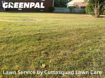 Lawn Maintenance nearby Norfolk, VA, 