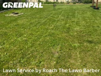 Lawn Cutting nearby Joliet, IL, 