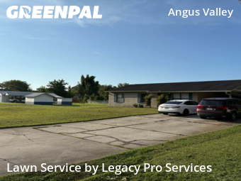 Lawn Mow nearby Zephyrhills, FL, 