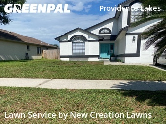 Lawn Servicein Brandon,33511,Lawn Service by New Creation Lawns, work completed in Jun , 2026