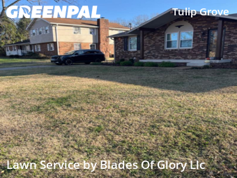 Grass Cut nearby Nashville, TN, 