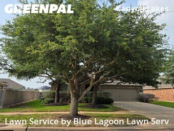 Lawn Servicein Cypress,77433,Lawn Care Service by Blue Lagoon Lawn Serv, work completed in Jun , 2026