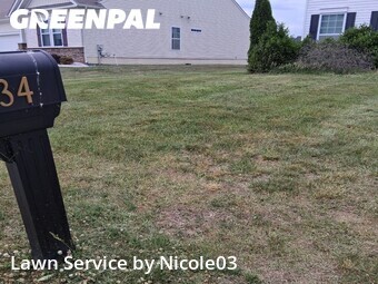 Yard Cutting nearby Magnolia, DE, 