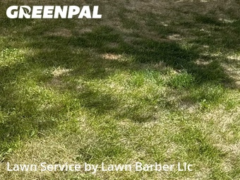 Lawn Mowing Service nearby Greeley, CO, 